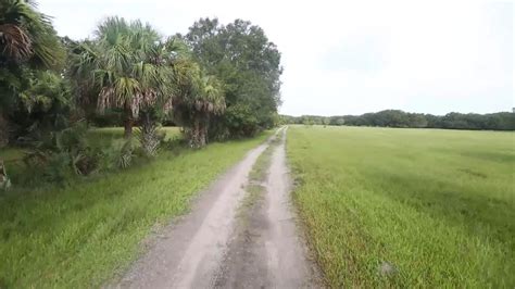 A World Of Endangered Animals 2025 𝚆𝚊𝚝𝚌𝚑 With Recommendations
